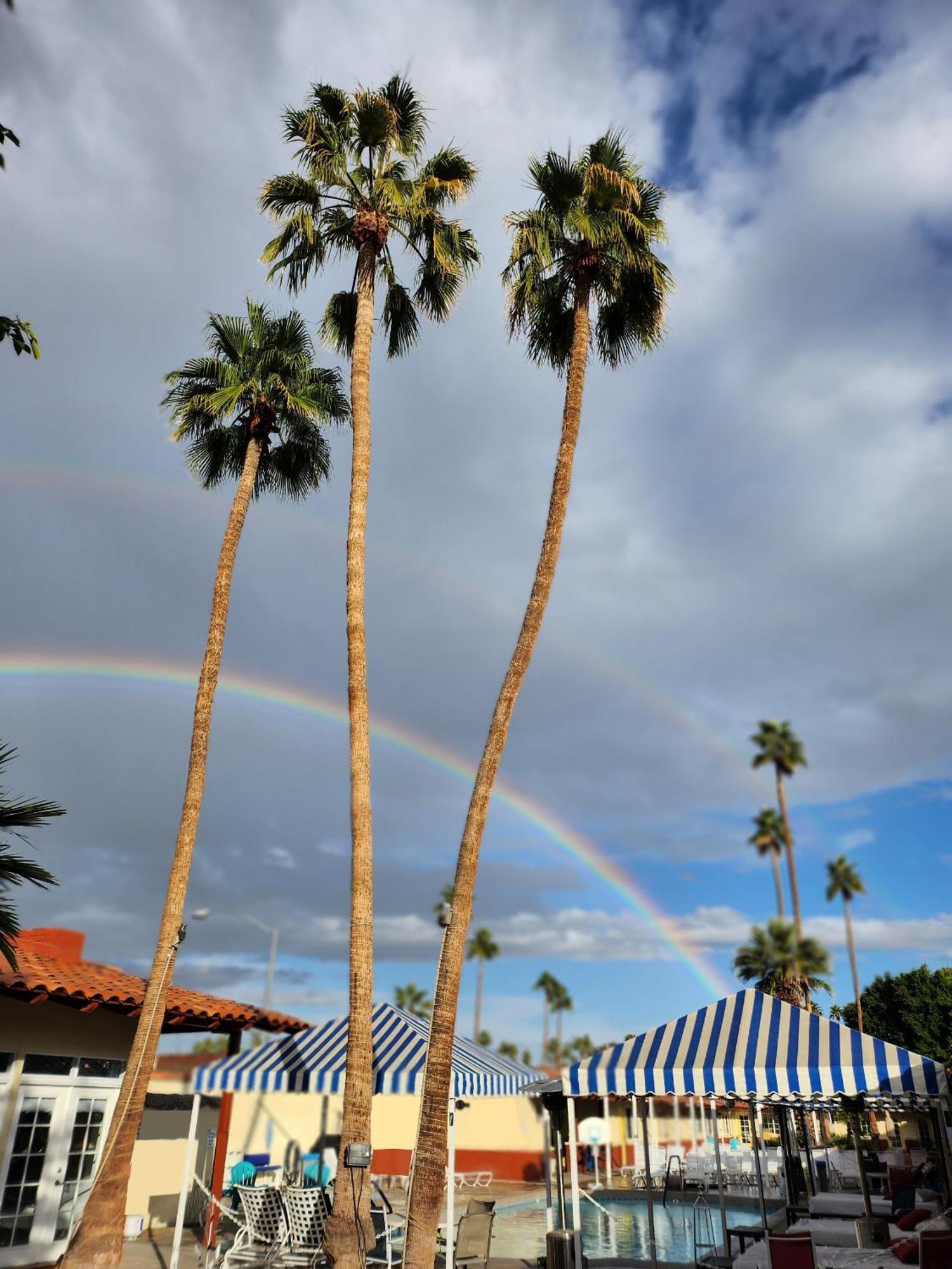 Exotic Dreams Resort Adults Only Palm Springs Exterior foto